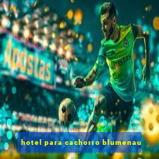 hotel para cachorro blumenau